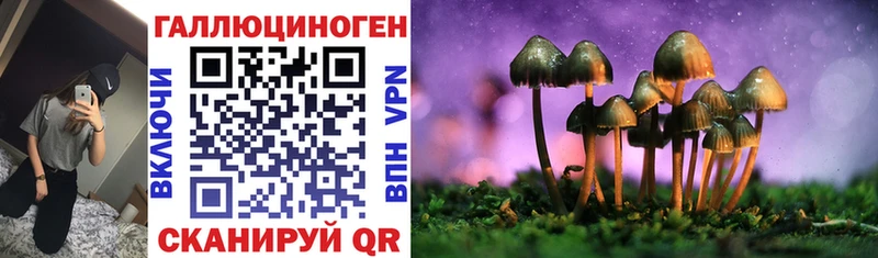 маркетплейс официальный сайт  Вытегра  Галлюциногенные грибы Cubensis 